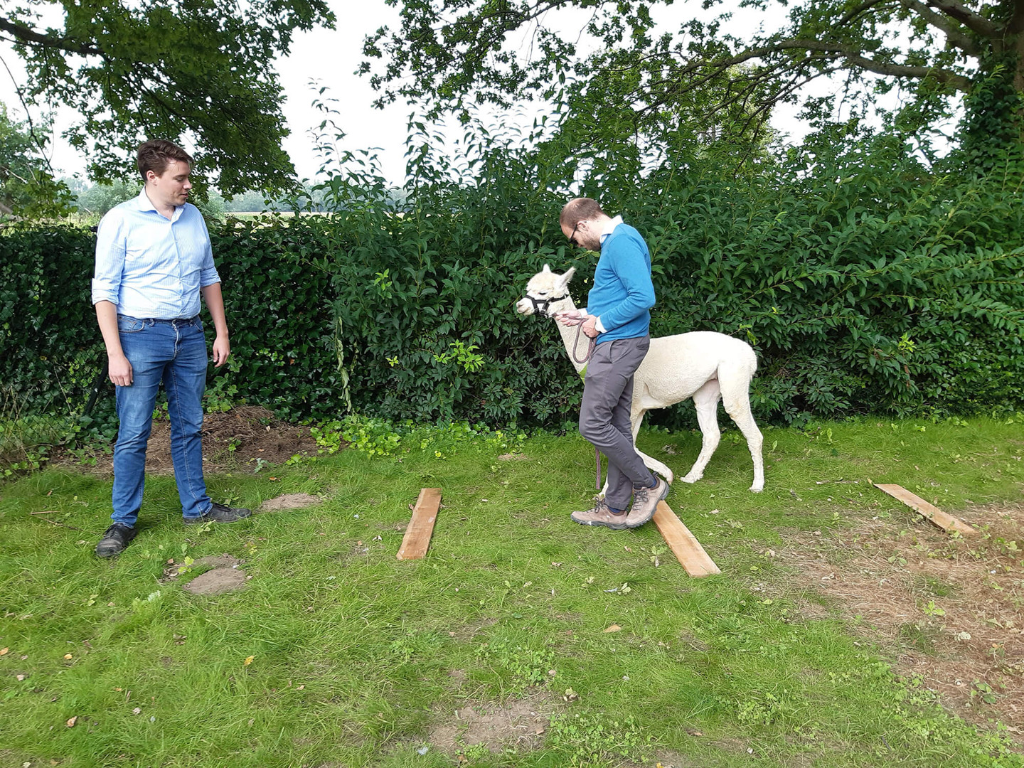 Alpaca Workshop