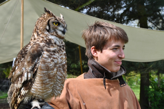 Atelier Rapaces