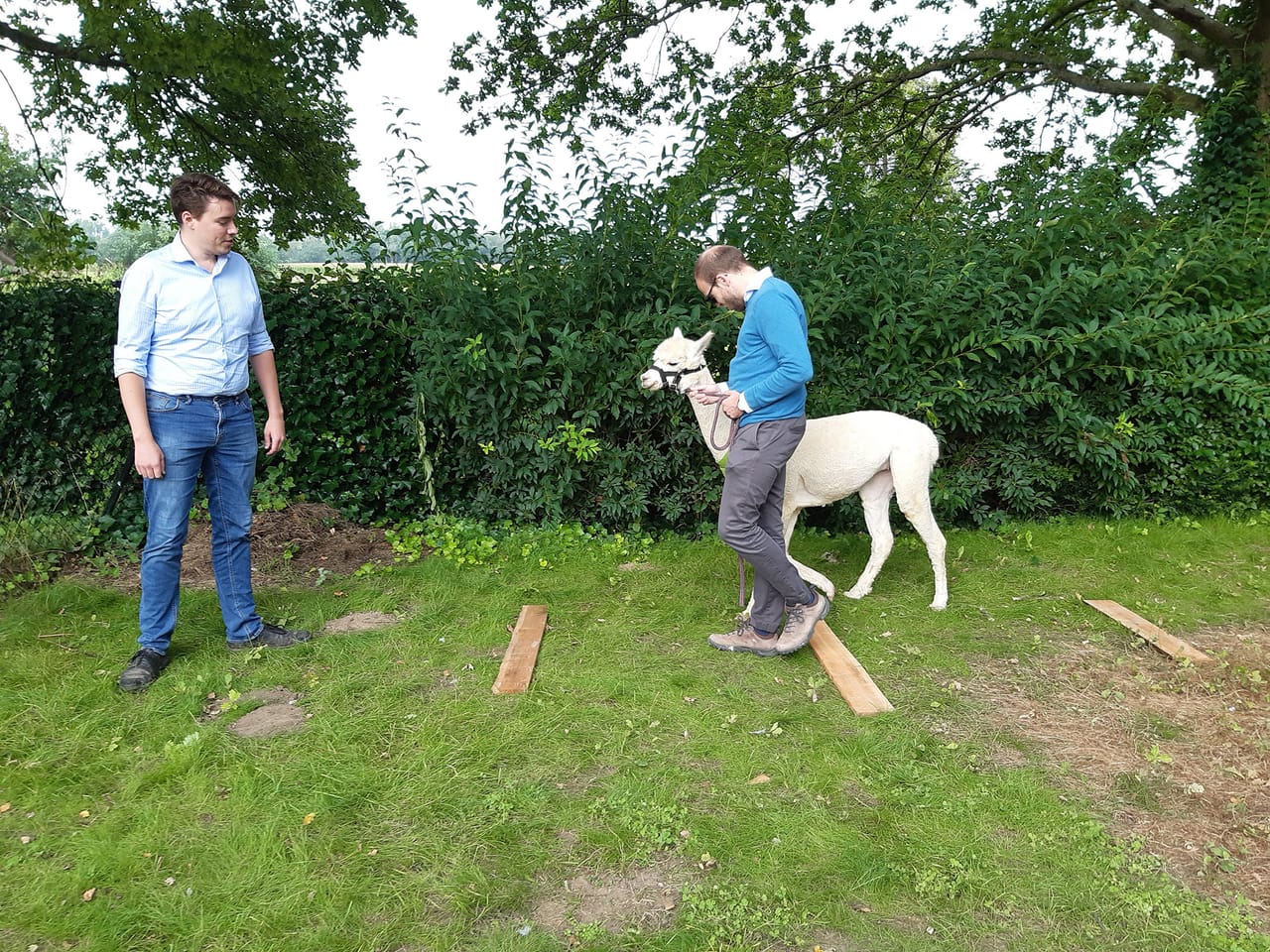 Alpaca Workshop
