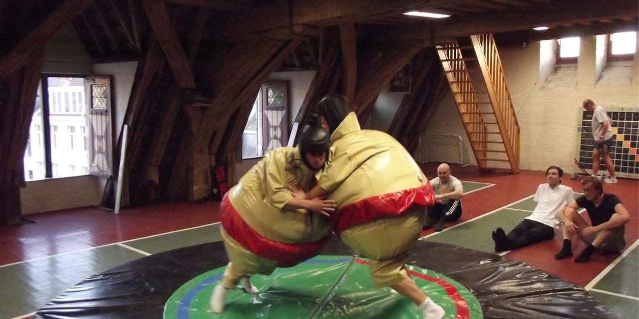 Sumo Wrestling (Indoor)